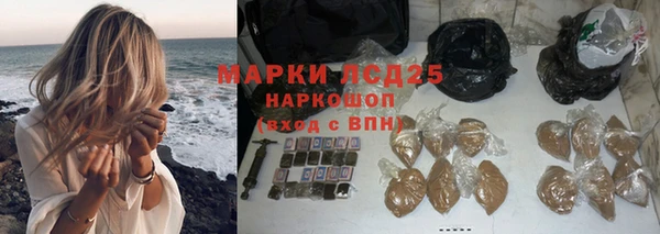 крисы Алзамай