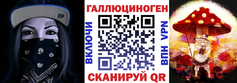Псилоцибиновые грибы прущие грибы  Нестеров 