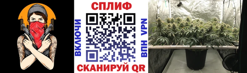 Конопля Bruce Banner  Нестеров 